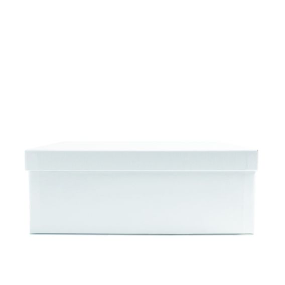 Bedruckter Maxibriefkarton 210x210x30 mm Maxi 210 weiß Bedruckter Maxibriefkarton 210x210x30 mm Maxi 210 weiß