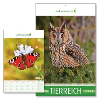 Wandkalender Blick ins Tierreich