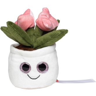 Evergreenies Tulpe Display Cleaner