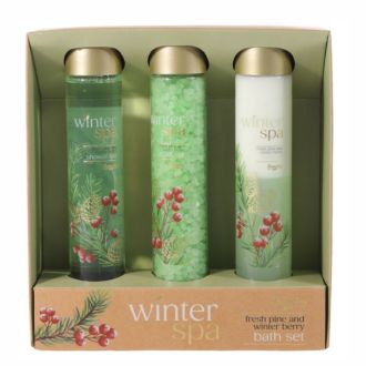 Badeset Winter Spa Geschenkbox Duschgel, Öl, Salz 200ml
