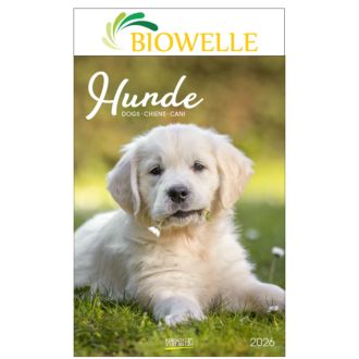 Wandkalender Hunde