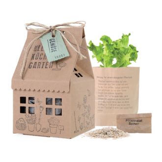 Wunderle Kräuter Garten Haus aus Pappe