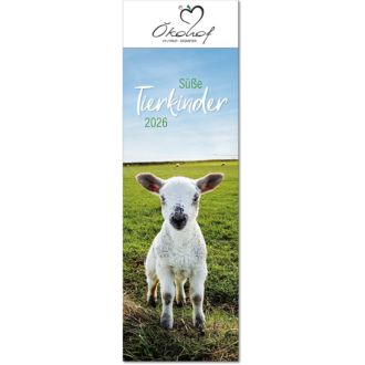 Streifenkalender Süße Tierkinder