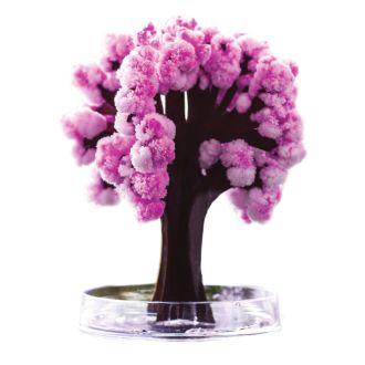 Magic Sakura Baum