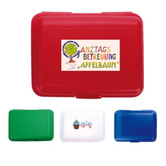 Lunch-Box aus Kunststoff, 18 x 12,5 x 6,5 cm