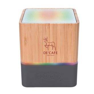 Big Bamboo Speaker