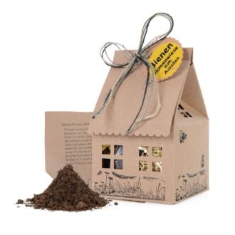 Bienenhaus aus Karton