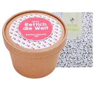 Pince Adson à Tissu Brune 9x9 - Qualité Allemande - Pour Chirurgie Plastique - Longueur 4.75 Pouces