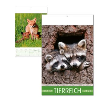 Wandkalender Blick ins Tierreich