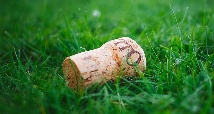 Alternativen zu Plastik – Werbeartikel aus Kork, Holz &amp; Co.!