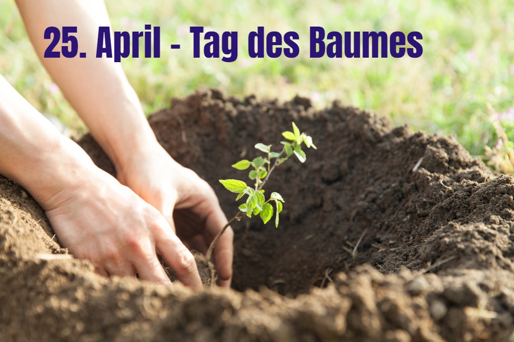 25. April 2022 – Wir feiern den Tag des Baumes