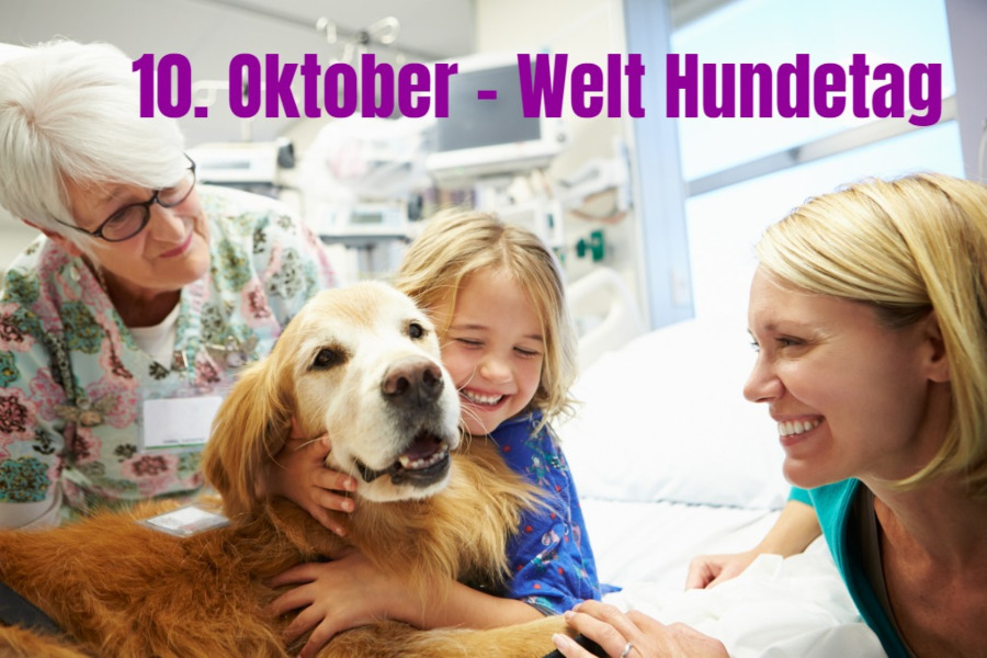 10 Oktober Welt Hundetag 10-oktober-welt-hundetag