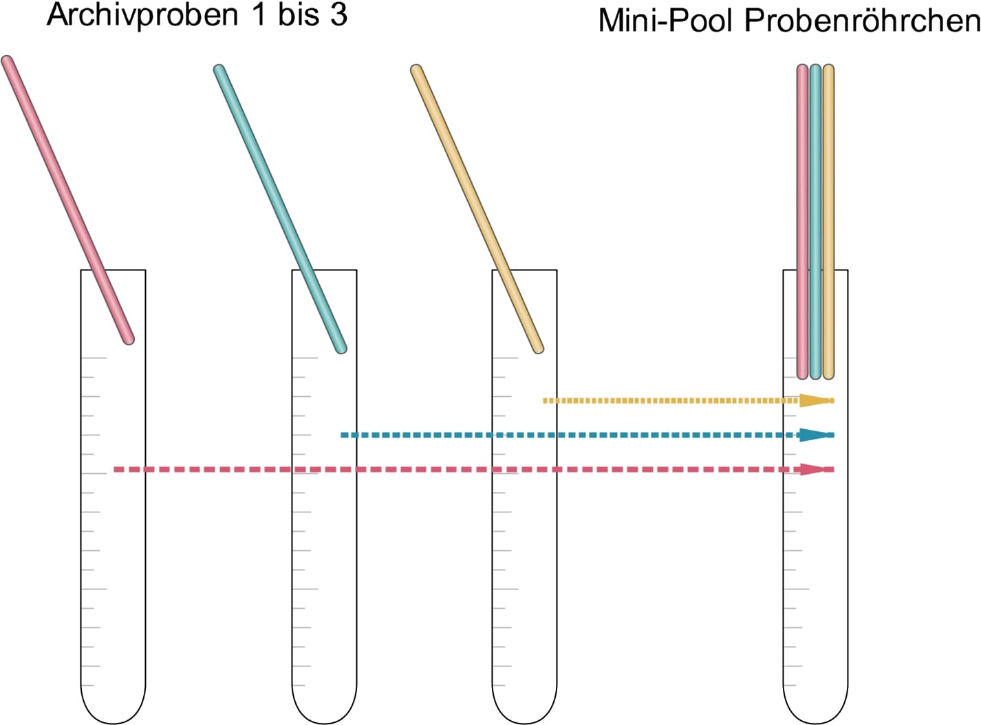 Schema PCR Corona Pooltest 